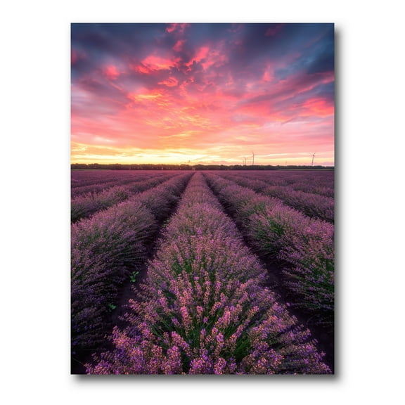 Dramatic Clouds and Sunrise Over Lavender Field XIV 8 in x 12 in Photography Canvas Art Print, by Designart