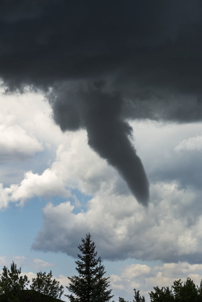 Dramatic funnel cloud created in dark storm clouds with silhouetted evergreen trees Calgary Alberta Canada Canvas Art - Michael Interisano Design Pics (12 x 19)