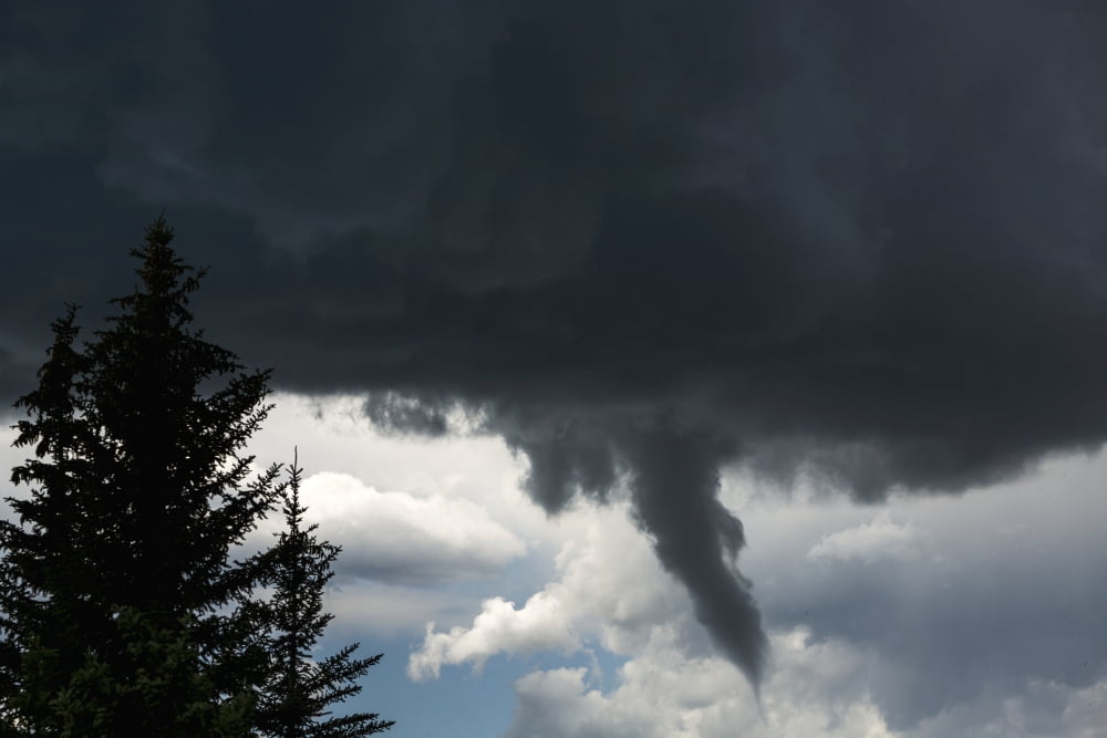 Dramatic funnel cloud created in dark storm clouds with silhouetted evergreen trees Calgary Alberta Canada Canvas Art - Michael Interisano Design Pics (19 x 12)