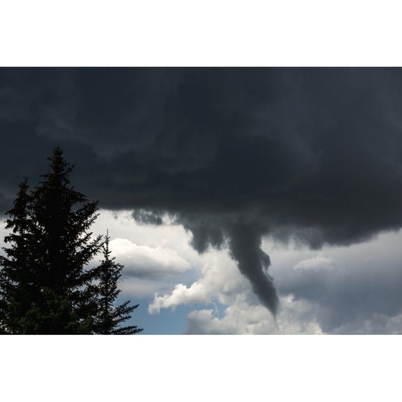 Dramatic funnel cloud created in dark storm clouds with silhouetted evergreen trees; Calgary Alberta Canada
