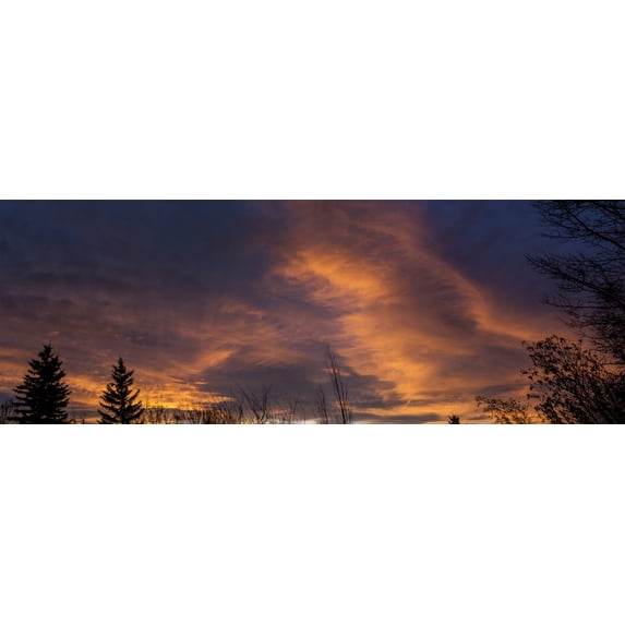 Dramatic panorama of colourful chinook clouds at sunset with trees in the foreground; Calgary, Alberta, Canada by Michael Interisano / Design Pics (35 x 12)