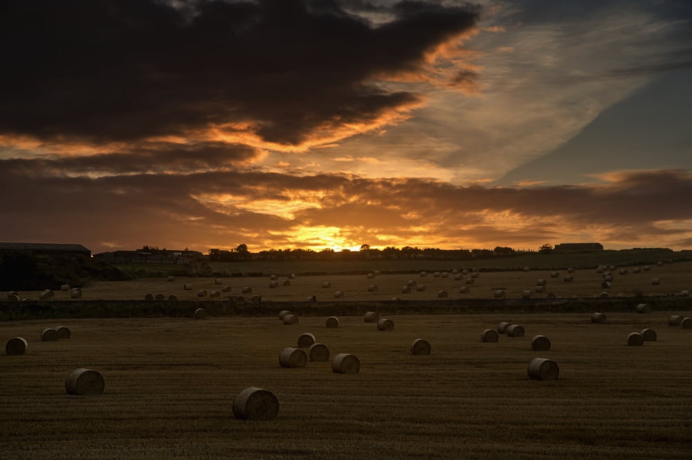 Dramatic sunset with dark clouds over a field with hay bales Whitburn Tyne and Wear England Canvas Art - John Short Design Pics (38 x 24)