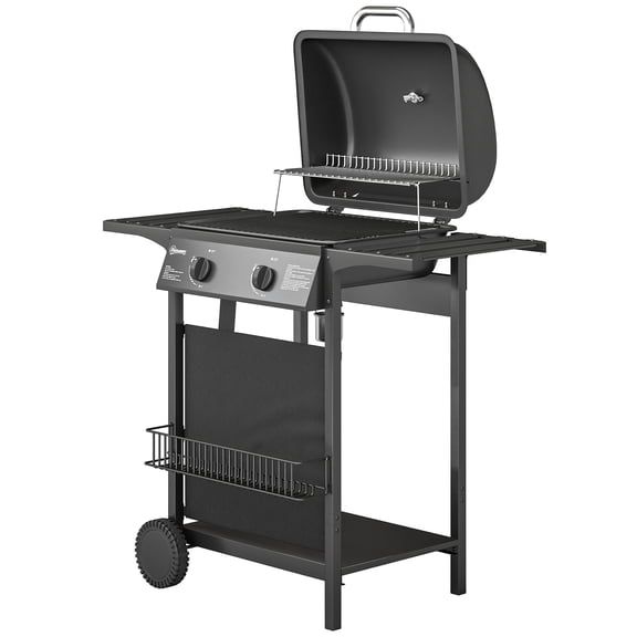 Dranite 2-Burner Propane Grill 18k BTU Wheels Warming Rack Shelf Black