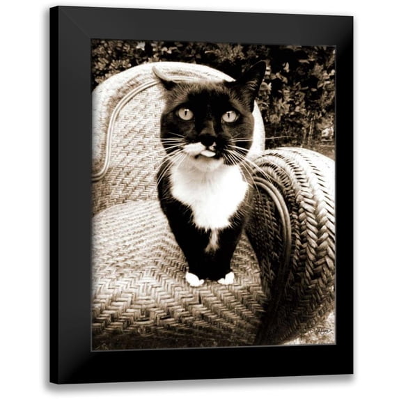 Dratfield, Jim 20x24 Black Modern Framed Museum Art Print Titled - Kitty I