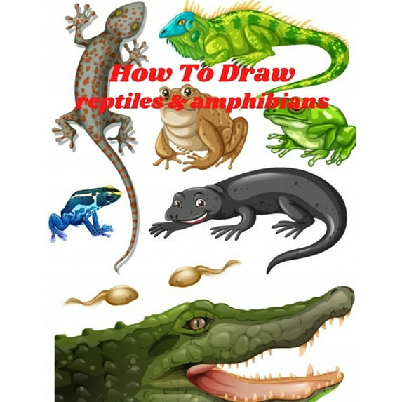 How to Draw Reptiles & Amphibians : Step-by-step Way To Draw Reptiles And Amphibians.include Fun Fact For Kids To Learn About Reptiles And Amphibians In Cool And Interesting Way. (Paperback)