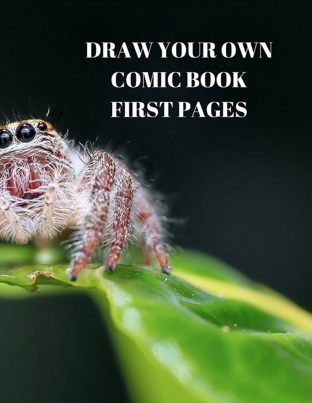 DRAW YOUR OWN COMIC BOOK FIRST PAGES: 90 PAGES OF 8.5 X 11 INCH COMIC BOOK FIRST PAGES  Paperback  1088490700 9781088490709 Larry Sparks