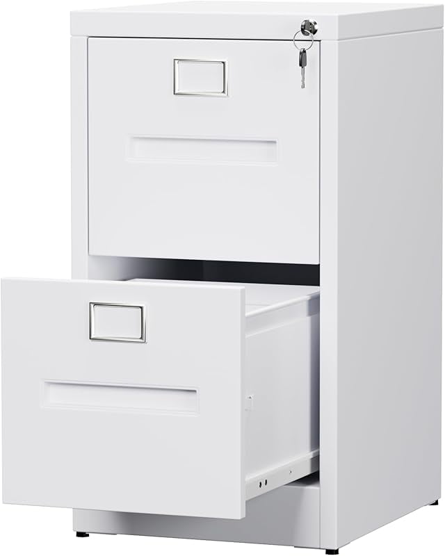 Drawer Metal Vertical File Cabinet with 4 Independent Locks, Home ...