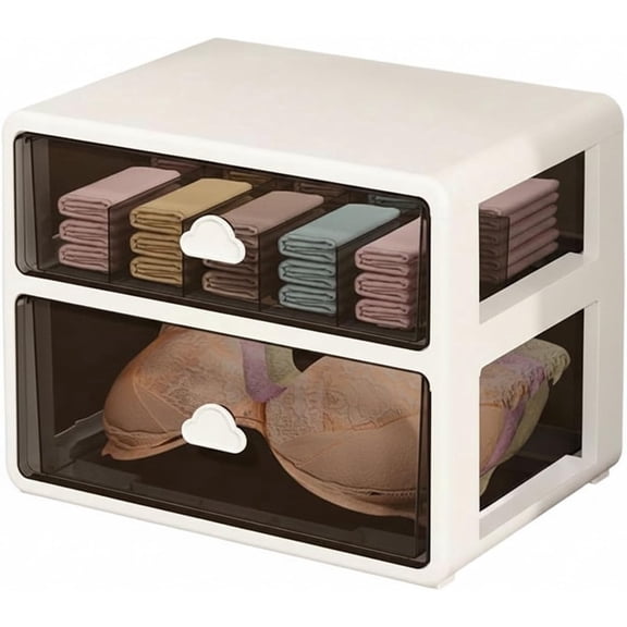Drawer Storage Box, Pull-Out Bra and Underwear Organizer, PP Plastic, with Dividers, Suitable for Socks, Ties, Accessories, and Daily Essentials (2-Tier)