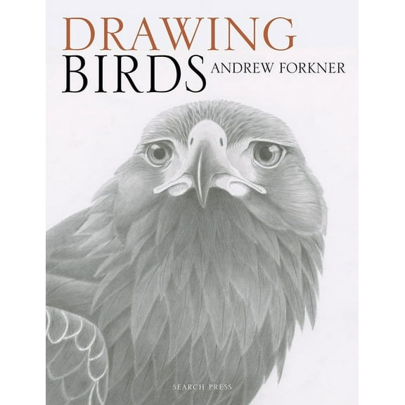 Drawing Birds (Paperback)