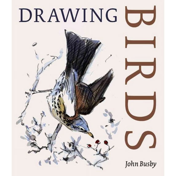 Pre-Owned Drawing Birds (Paperback) 0881926973 9780881926972