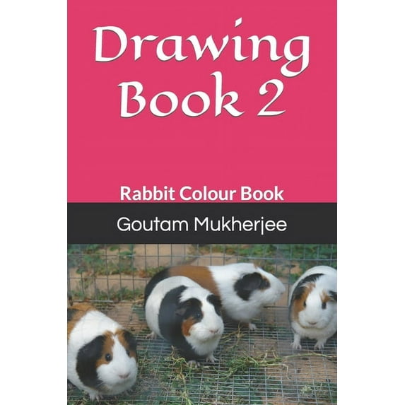 Drawing Book 2: Rabbit Colour Book (Paperback)