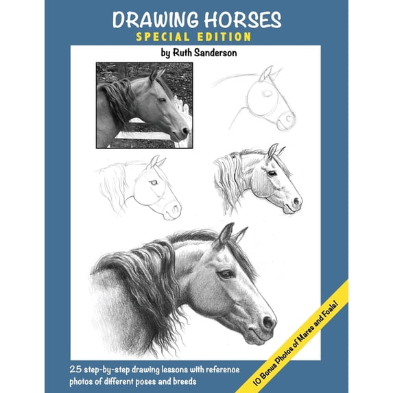 Drawing Horses: Special Edition, (Paperback)
