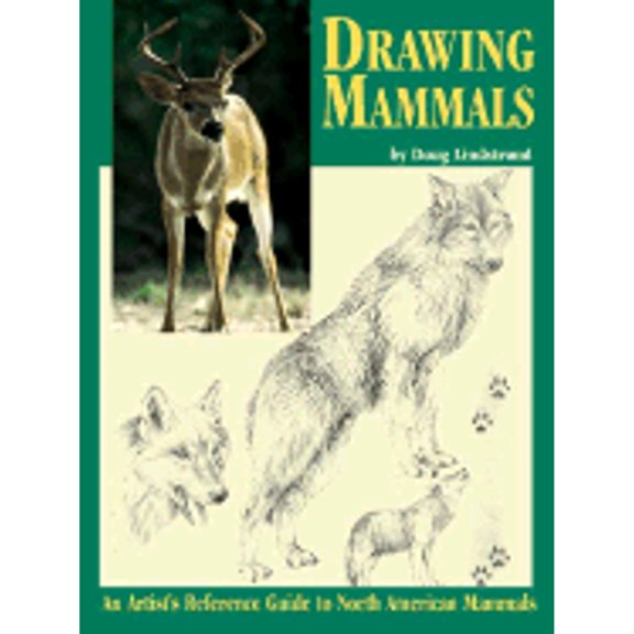 Drawing Mammals (Paperback) by Doug Lindstrand