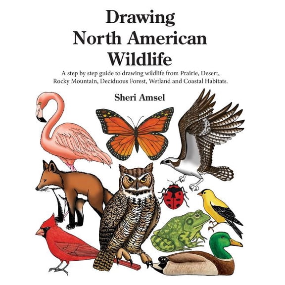 Drawing North American Wildlife: A step by step guide to drawing wildlife from Prairie, Desert, Rocky Mountain, Deciduou, (Paperback)