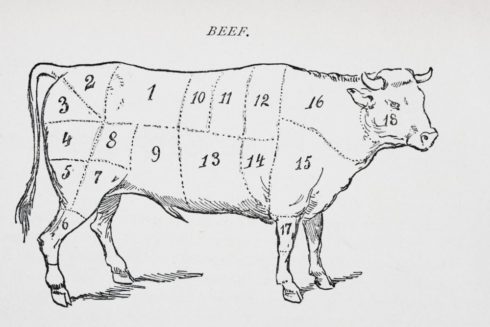 Drawing Of Bullock Marked To Show 18 Different Cuts Of Meat Canvas Art - Ken Welsh Design Pics (17 x 11)