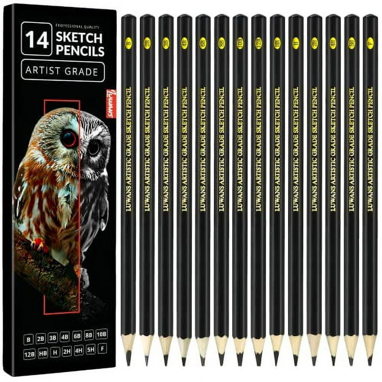 Drawing Pencils Set of 14 (B - 12B) Sketch Pencils for Drawing - Art Pencils  for Shading, Sketching & Doodling