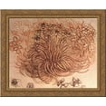 thumbnail image 1 of Drawing of a botanical study 24x20 Gold Ornate Wood Framed Canvas Art by Leonardo da Vinci, 1 of 2