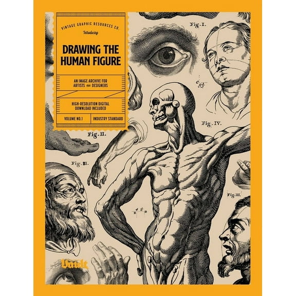 Drawing the Human Figure, (Paperback)