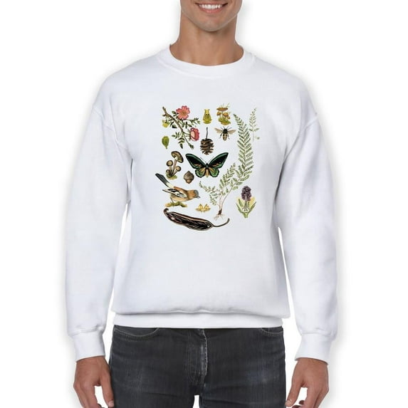 Drawings From The Forest Sweatshirt Men -Naomi McCavitt Designs, Male 5X-Large
