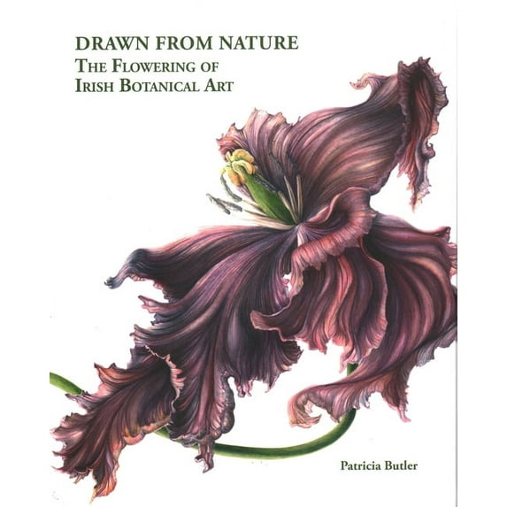 Drawn From Nature : The Flowering of Irish Botanical Art (Hardcover)