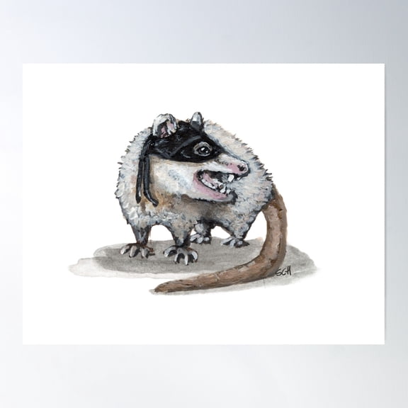 Dread Pirate Possum Poster Wall Art, Modern Wall Decor For Living Room Bedroom, 8x12 UNFRAMED
