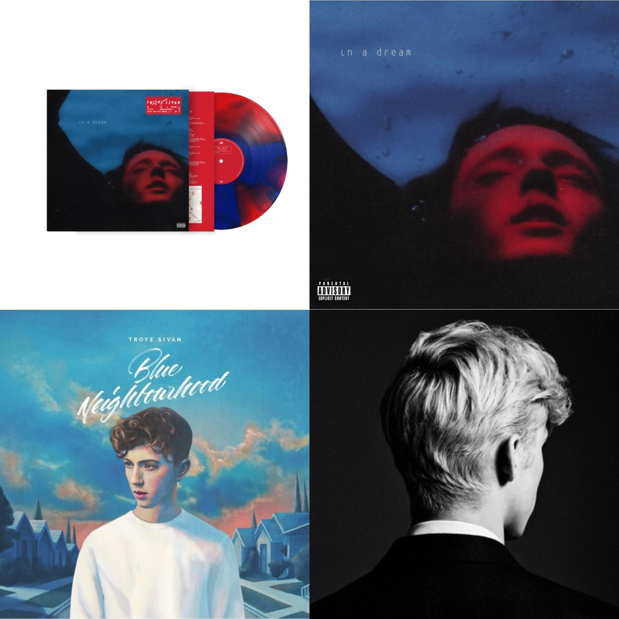 Troye Sivan Music Wall: Vinyl Records, CDs & Cassettes | Walmart