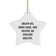 Dream Big Become an Amazing Analyst Christmas Star Ornament Gifts from Men to Friends, Family, Coworkers