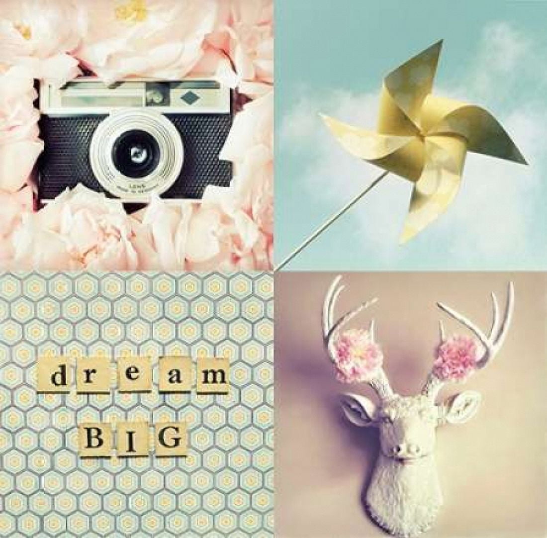 Dream Big Canvas Art - Vicki Dvorak (24 x 24)