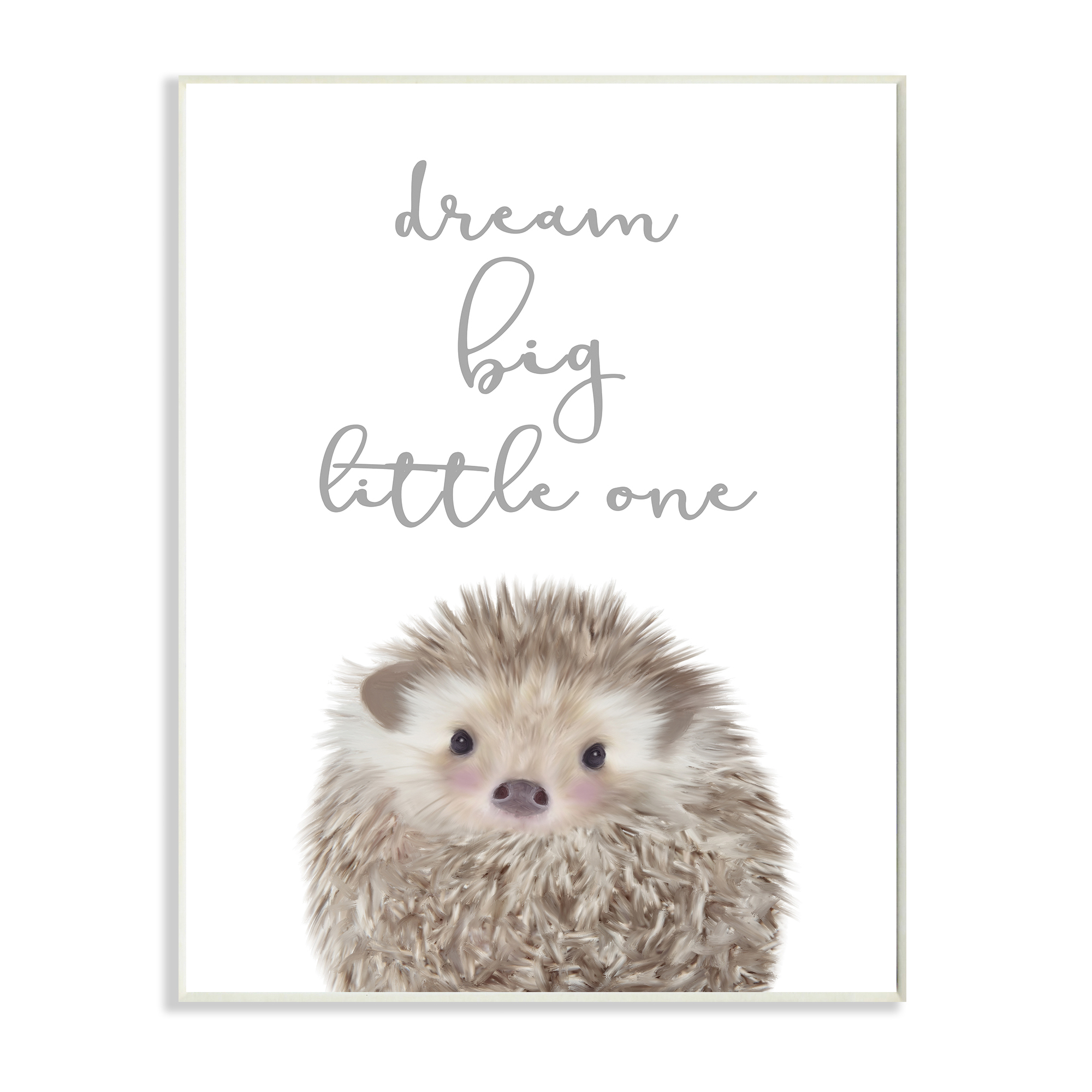 Stupell Industries Dream Big Little One Adorable Inspirational Hedgehog,10 x 15,Designed by Leah Straatsma