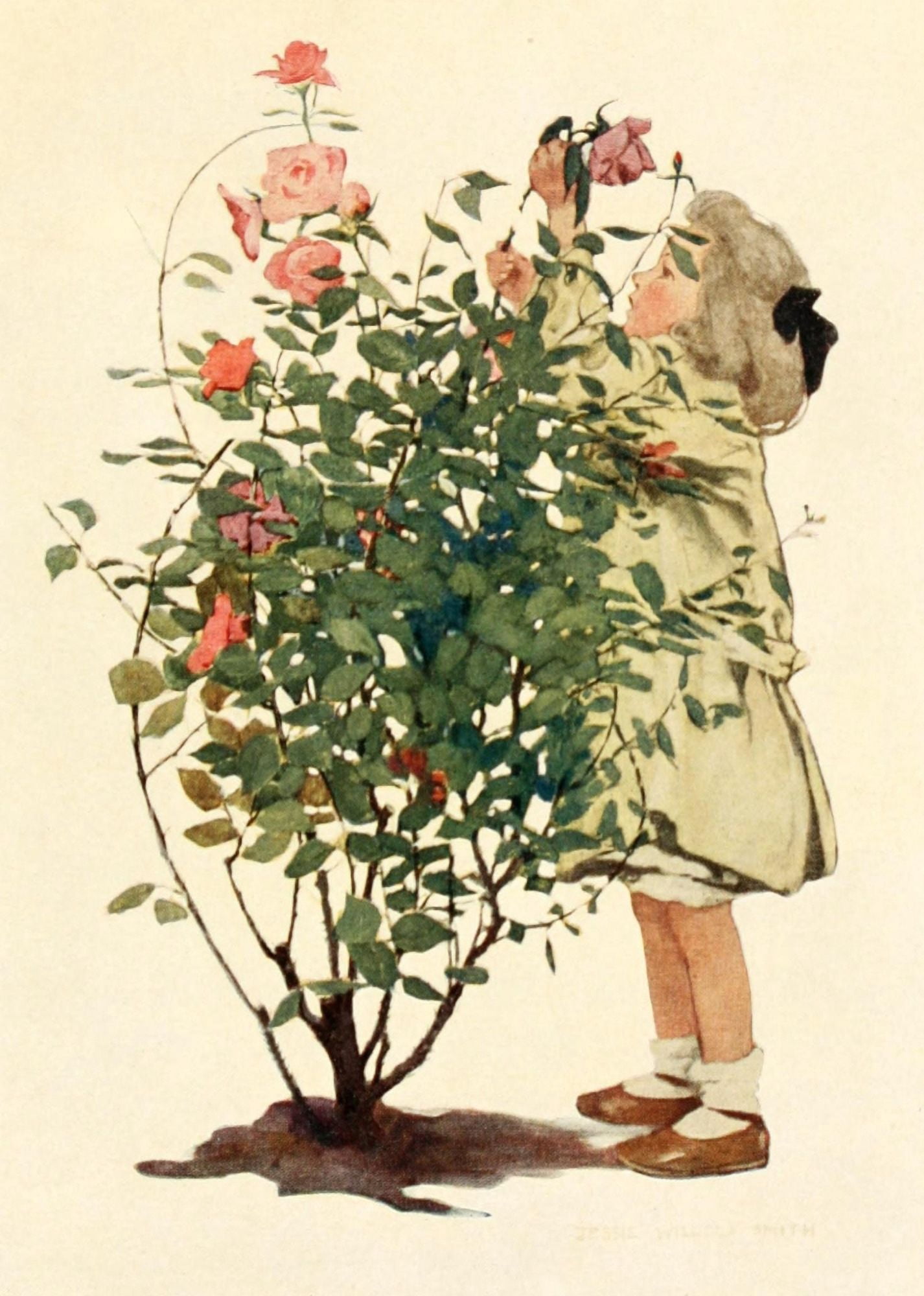 Dream Blocks 1908 Tending the roses Canvas Art - Jessie Willcox Smith (18 x 24)