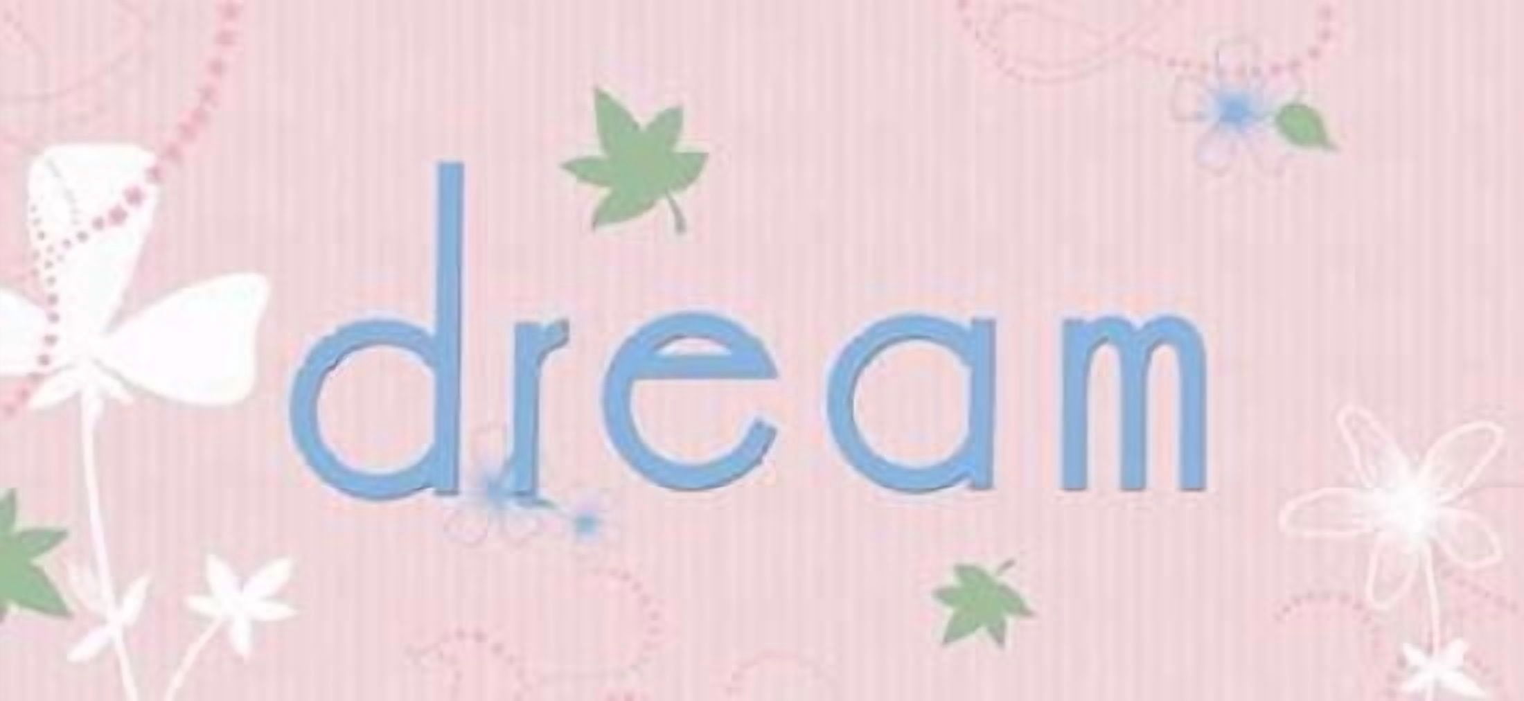 Dream Canvas Art - Anna Quach (10 x 20)