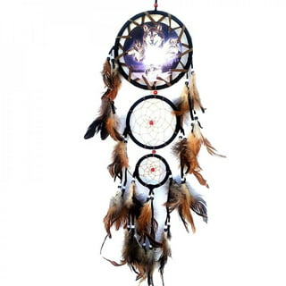 SHIYAO 1 PCS 5D Dream Catcher Double Wolf DIY Square Diamond Painting  Animals Embroidery Full Drill Craft Home Decor (Style 25,30x30cm)