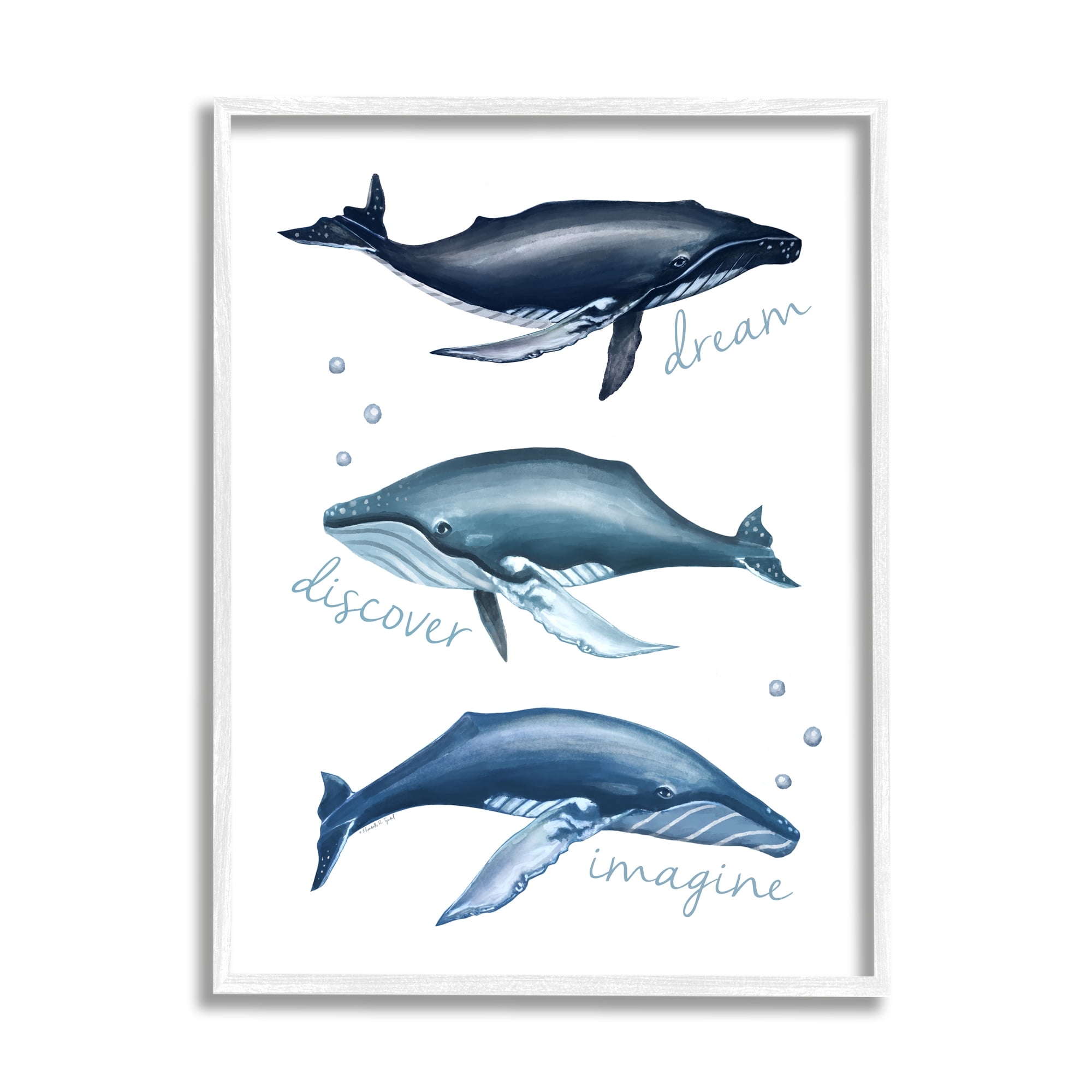 Dream Discover Imagine Inspirational Typography Nautical Whales Animals & Insects Painting Framed Art Print Wall Art