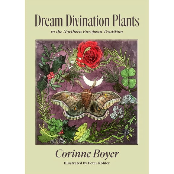 Dream Divination Plants: In Northwestern European Traditions, (Paperback)