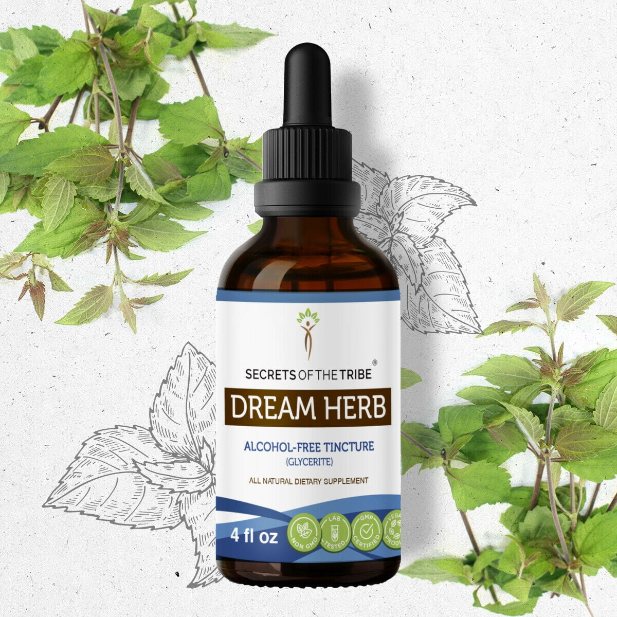 Dream Herb Extract 50:1 – Calea Zacatechichi Powder With Bacopa – Organic Active Alkaloids – USA Ship