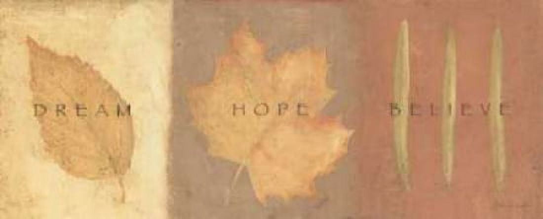 Dream Hope Believe Canvas Art - Stephanie Marrott (10 x 20)