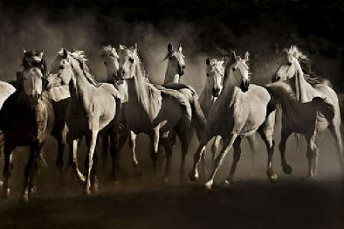 Dream Horses Canvas Art - Lisa Dearing (24 x 36)