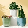 thumbnail image 1 of Dream Lifestyle Plants Flower Pots,6 inch Plastic Planters with Multiple Drainage Holes and Trays - Plant Pots for Indoor Outdoor Plants Flower Succulent Modern Home Office Decor, 1 of 8