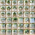 thumbnail image 1 of Dream Lifestyle Flower Stencil Set, Reusable Painting Templates Floral Design Stencil Drawing Craft Stencil for DIY Wall Scrapbook Greeting Card and More, Outdoor Indoor Decoration, 1 of 8