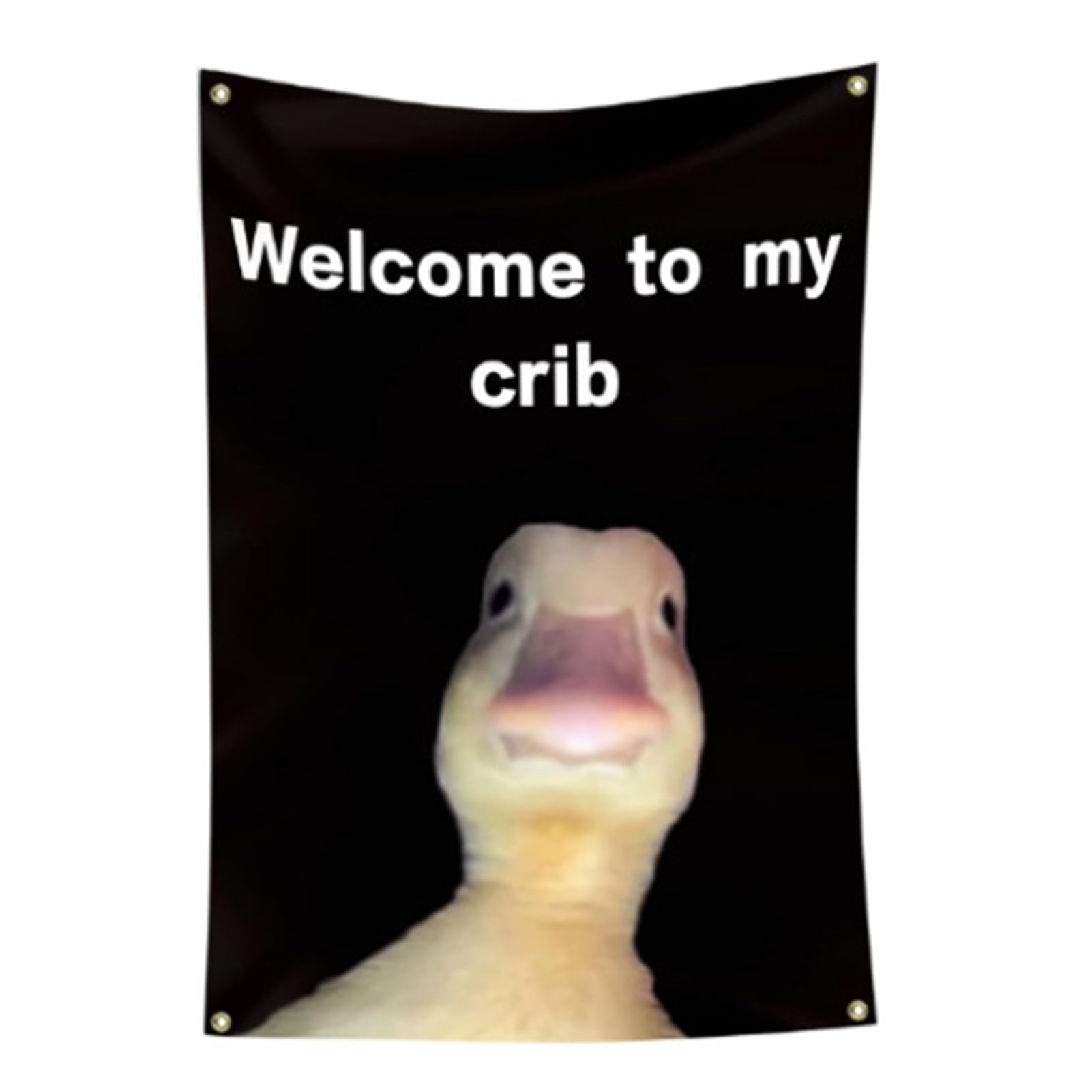 Dream Lifestyle Longlasting Wall Flag Wall Flag Creative to