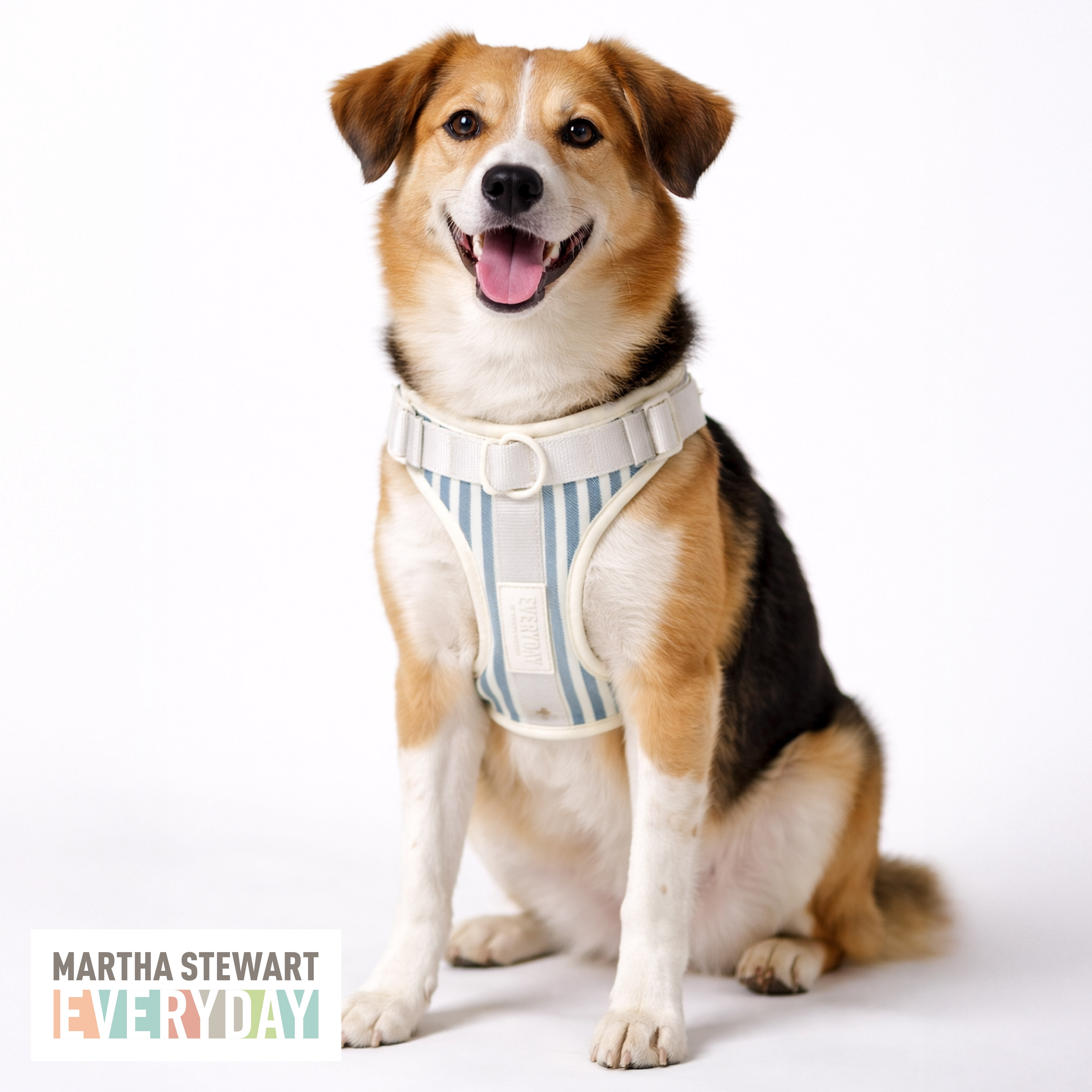 Martha Stewart Neoprene Padded Stripe Harness for Dogs - Medium