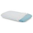 thumbnail image 1 of Dream Serenity Cool Sleep Memory Foam Pillow Jumbo, 1 of 6