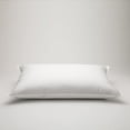 thumbnail image 1 of Dream Solutions USA 100% Hungarian White Goose Down Pillow, Luxury 700 Fill Power King Size, 1 of 1