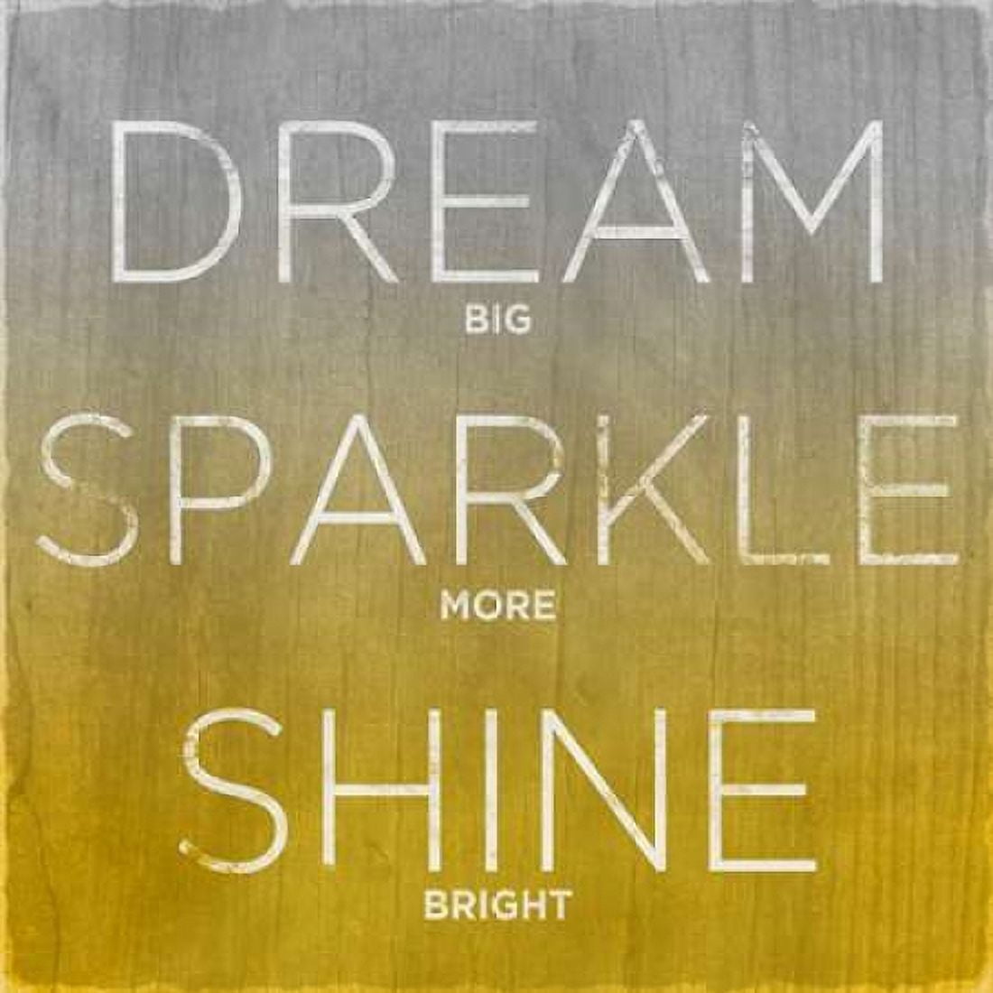 Dream Sparkle Shine Canvas Art - Sundance Studio (24 x 24)