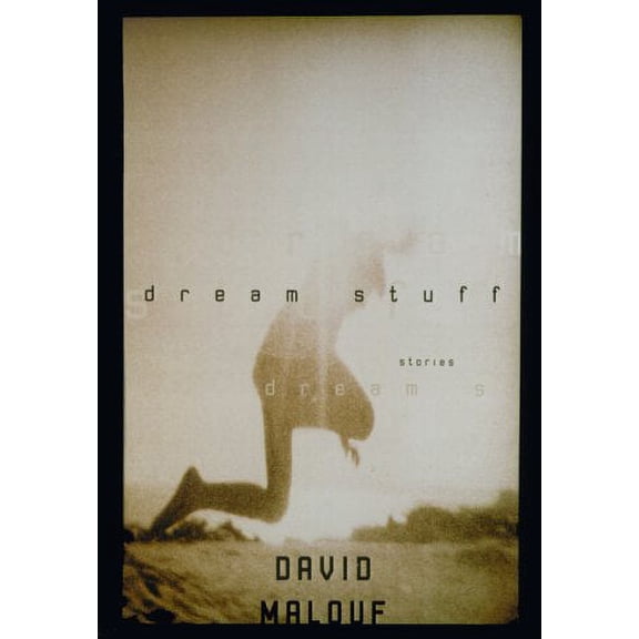 Pre-Owned Dream Stuff: Stories (Hardcover) 0375420533 9780375420535