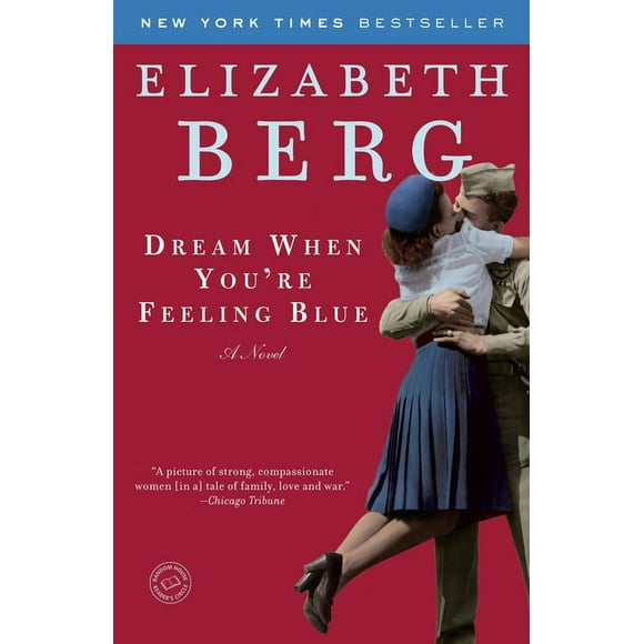 Dream When You're Feeling Blue : A Novel (Paperback)