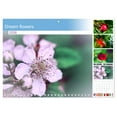 thumbnail image 1 of Dream flowers (Monthly Wall Calendar 2026 16.5 x 23.4 (open)), CALVENDO 14 Month Calendar, 1 of 9