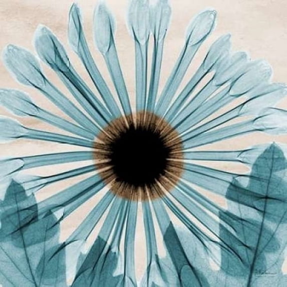 Dream in Blue Poster Print by Albert Koetsier (12 x 12)