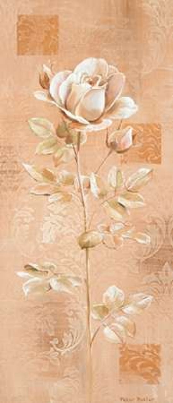 Dream in cream II Canvas Art - Peter Butler (10 x 20)