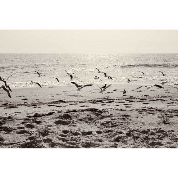 Dream of the Beach I Poster Print by Susan Bryant